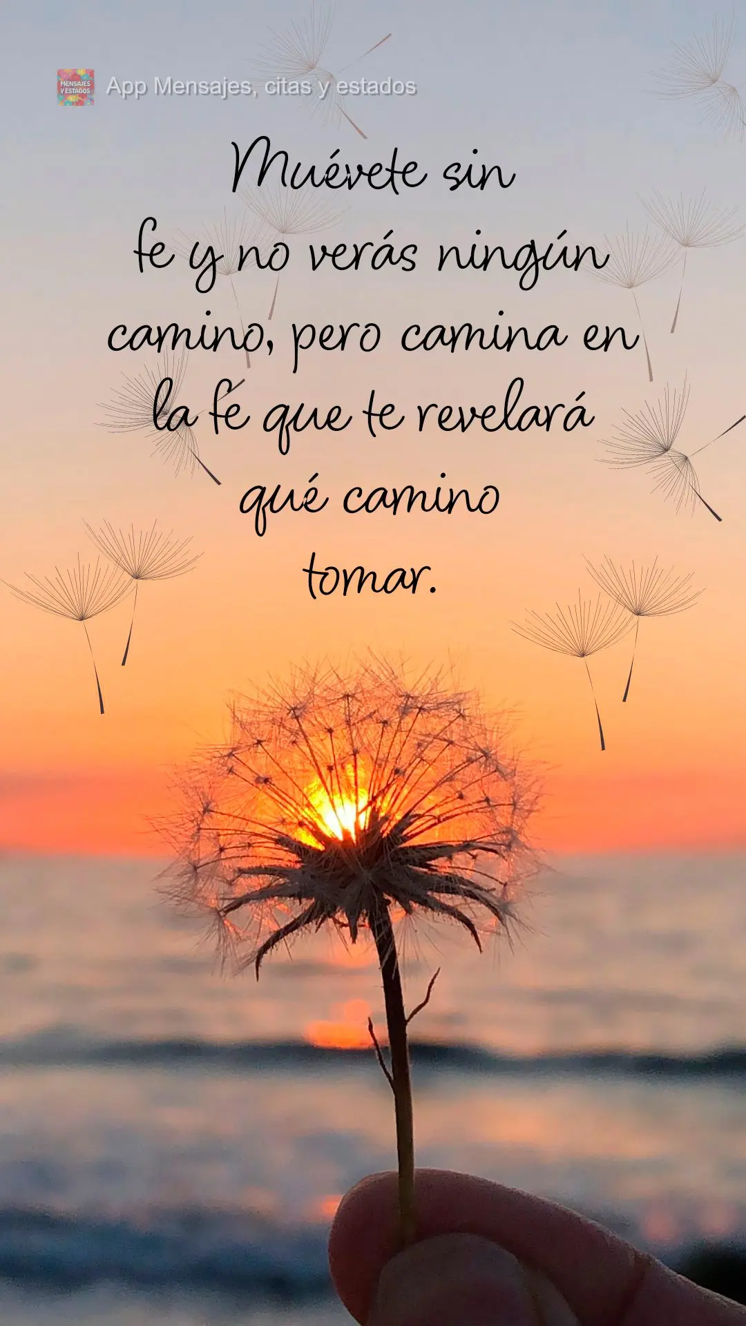 Muévete sin fe y no verás ningún camino, pero camina en la fe que te revelará qué camino tomar.