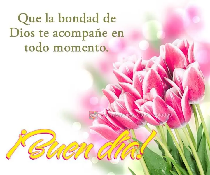 Que a bondade de Deus esteja com você em todos os momentos. Bom dia!