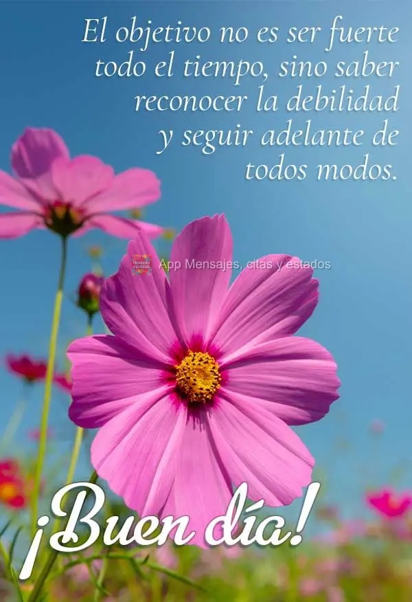 O objetivo não é ser forte o tempo todo, mas saber reconhecer a fraqueza e seguir em frente mesmo assim. Bom dia!