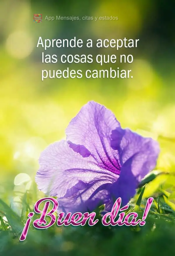 Aprenda a aceitar as coisas que você não pode mudar. Bom dia!