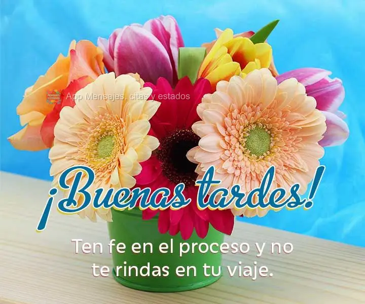 Tenha fé no processo e não desista da sua jornada. Boa tarde!