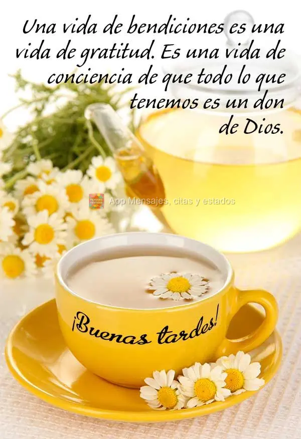 Uma vida de bênçãos é uma vida de gratidão. É uma vida de consciência de que tudo o que temos é um presente de Deus. Boa tarde!