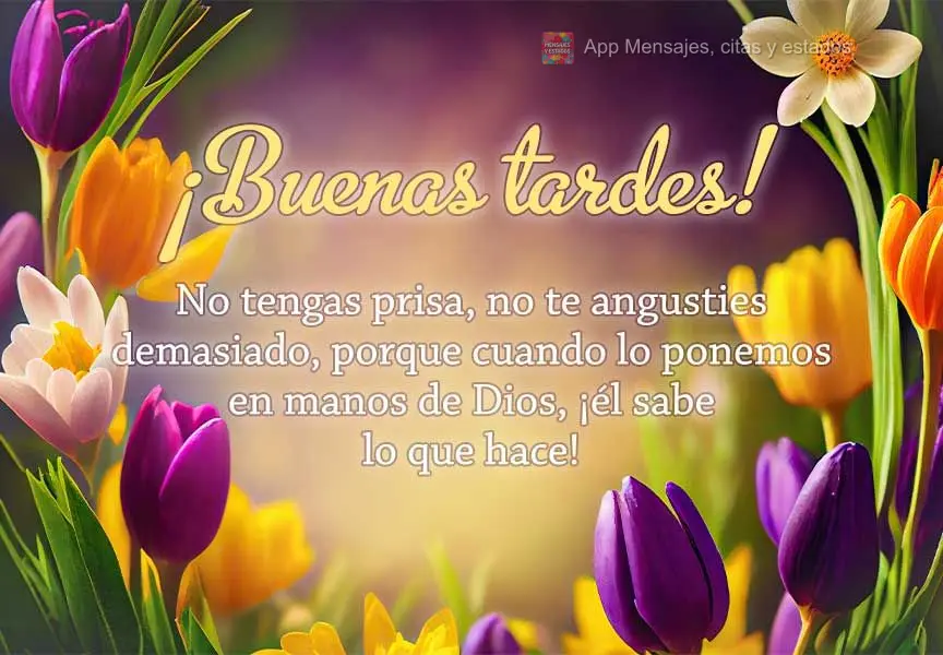 Não tenha pressa, não anseie demais, porque quando a gente coloca na mão de Deus, ele sabe o que faz! Boa tarde! 