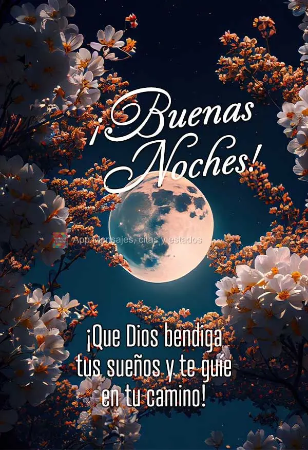 Que Deus abençoe os seus sonhos e te oriente na sua caminhada! Boa noite!