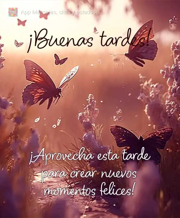 Aproveite esta tarde para criar novos momentos felizes! Boa tarde! 