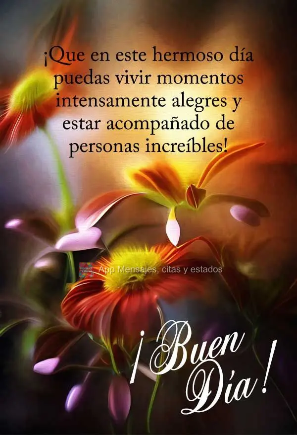 Que neste lindo dia você possa viver intensamente momentos alegres e estar acompanhado de pessoas incríveis! Bom dia!