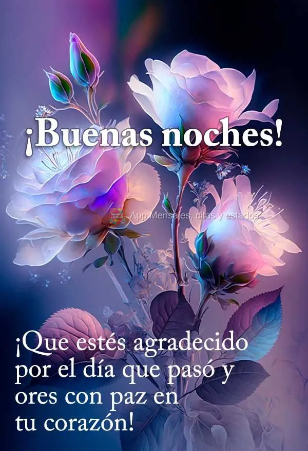 Que você possa agradecer pelo dia que passou e orar com paz no coração! Boa noite!