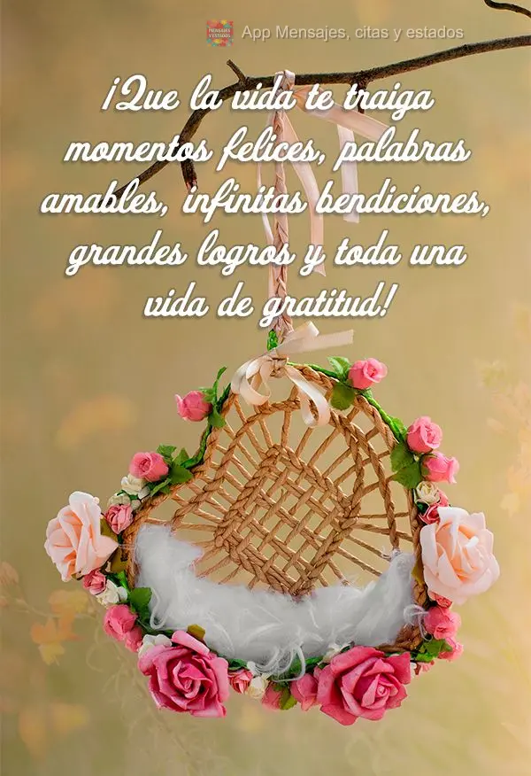 ¡Que la vida te traiga momentos felices, palabras amables, infinitas bendiciones, grandes logros y toda una vida de gratitud!