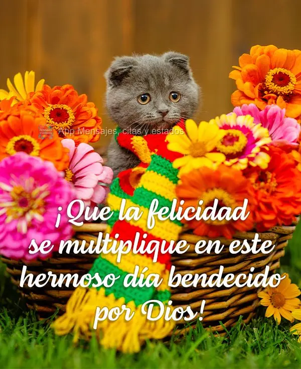 ¡Que la felicidad se multiplique en este hermoso día bendecido por Dios!