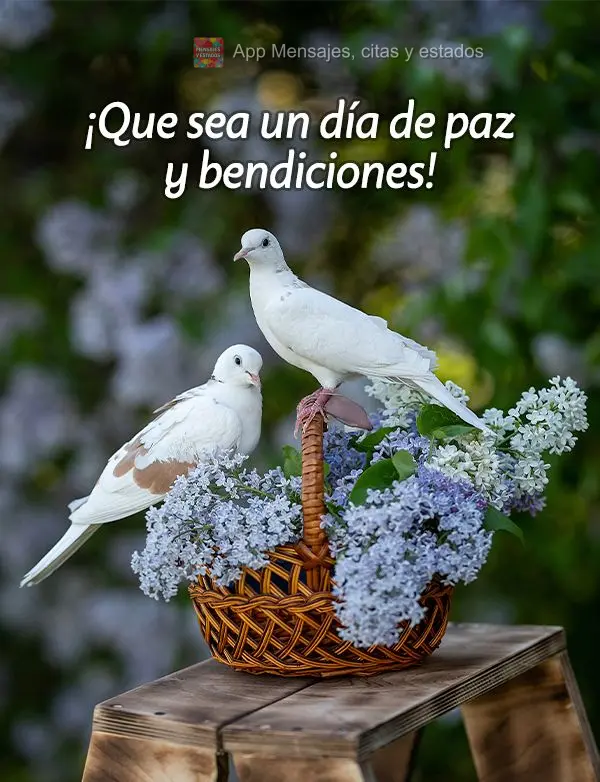 ¡Que sea un día de paz y bendiciones!