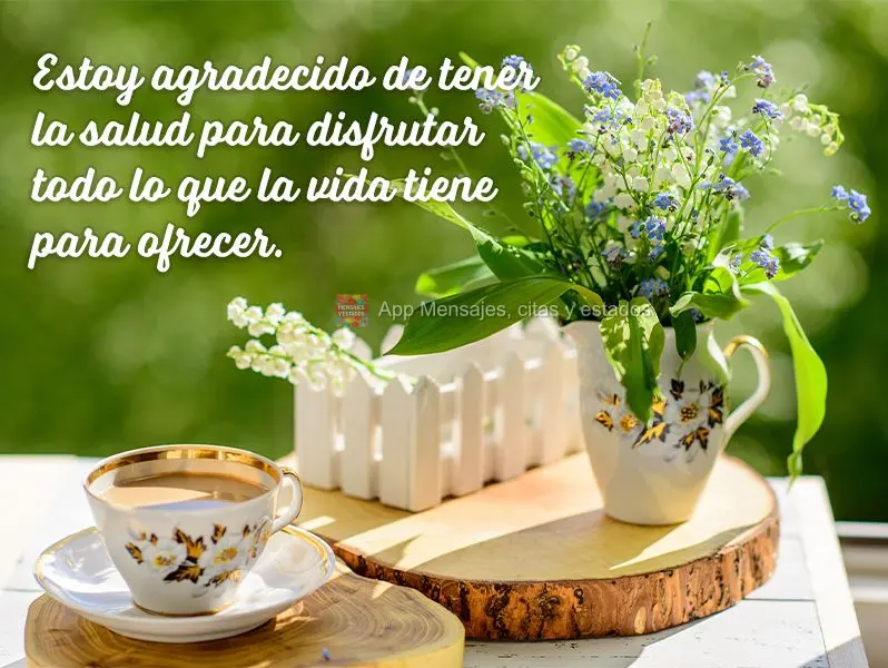 Sou grata por ter saúde para desfrutar de tudo o que a vida tem para oferecer.