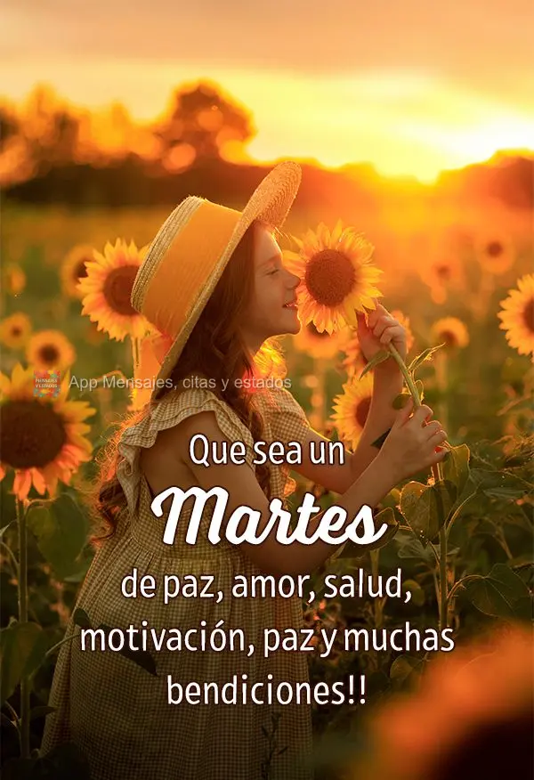Que sea un martes de paz, amor, salud, motivación, paz y muchas bendiciones!!