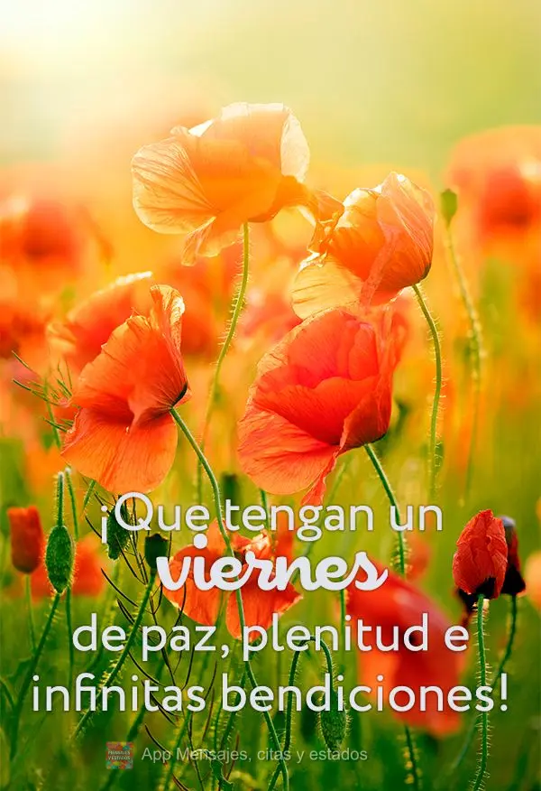 ¡Que tengan un viernes de paz, plenitud e infinitas bendiciones!