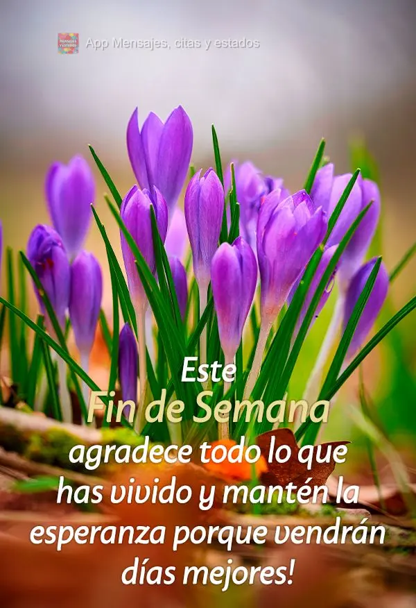 Este fin de semana agradece todo lo que has vivido y mantén la esperanza porque vendrán días mejores!