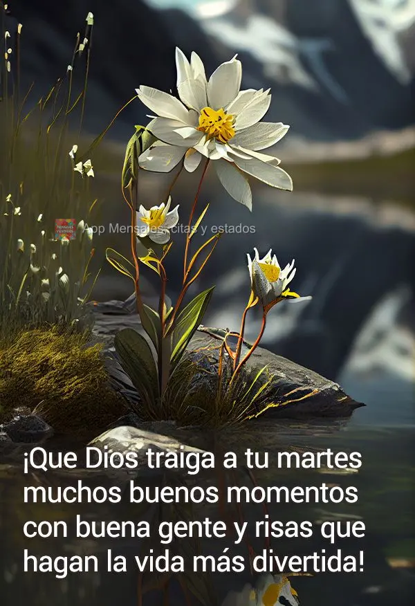 ¡Que Dios traiga a tu martes muchos buenos momentos con buena gente y risas que hagan la vida más divertida!