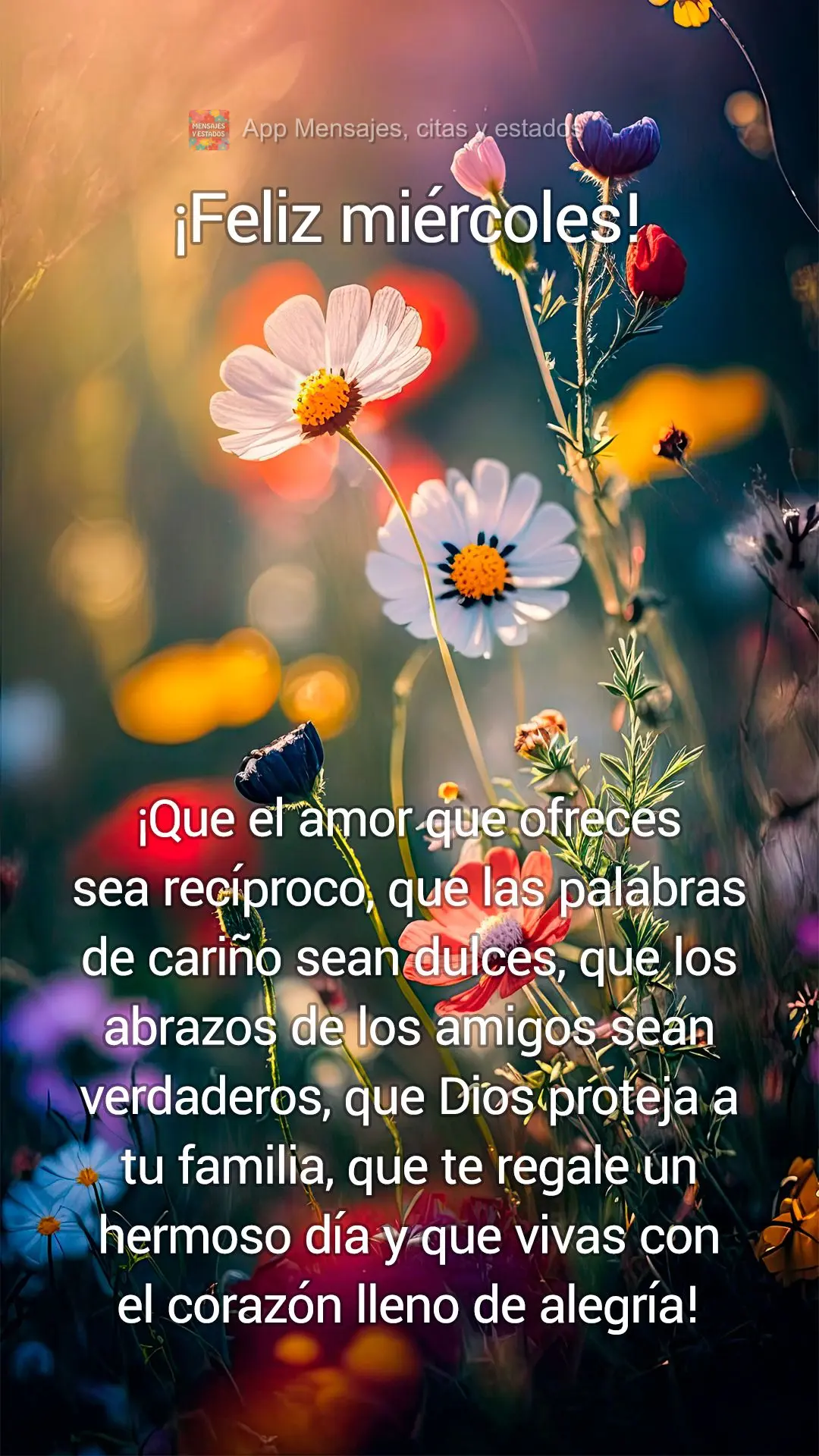 ¡Que el amor que ofreces sea recíproco, que las palabras de cariño sean dulces, que los abrazos de los amigos sean verdaderos, que Dios proteja a tu f...