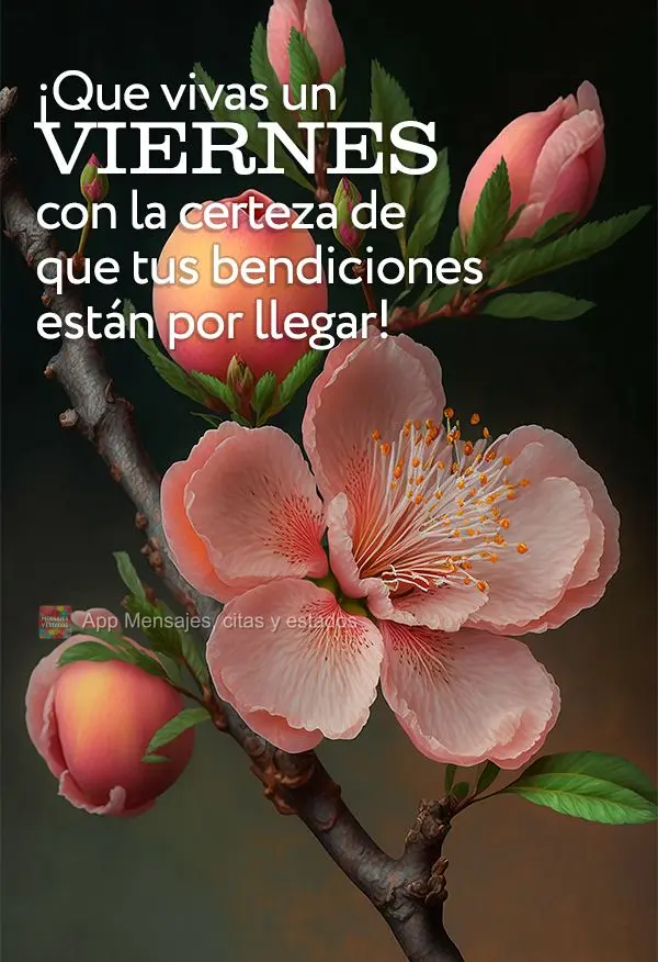 Que viva uma Sexta-feira com a certeza que suas bênçãos estão chegando!