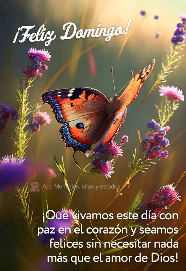 ¡Que vivamos este día con paz en el corazón y seamos felices sin necesitar nada más que el amor de Dios! ¡Feliz Domingo!