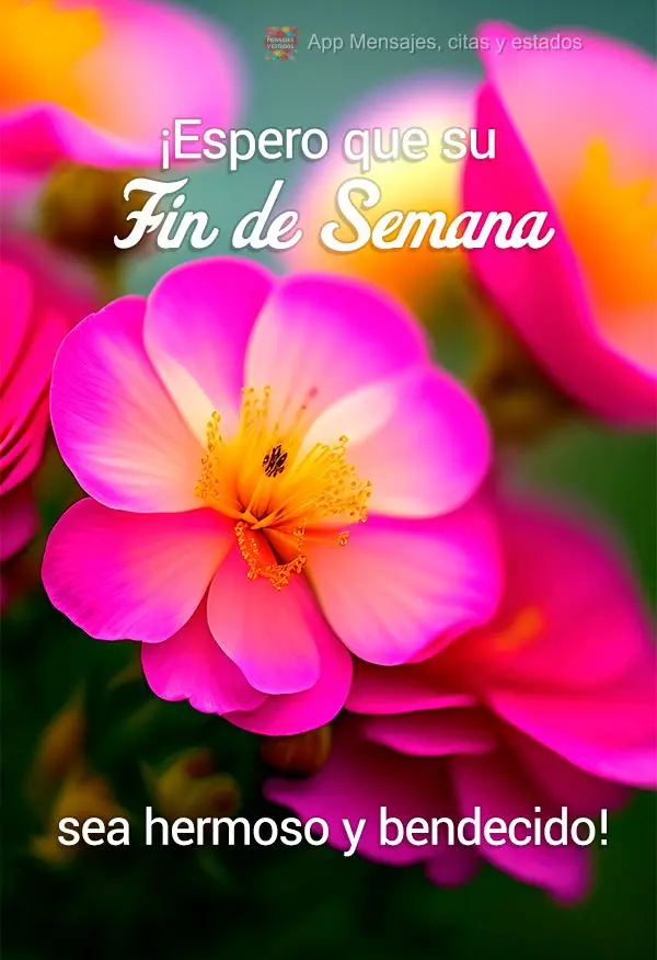 ¡Espero que su fin de semana sea hermoso y bendecido!