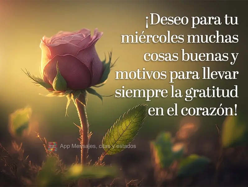 ¡Deseo para tu miércoles muchas cosas buenas y motivos para llevar siempre la gratitud en el corazón!