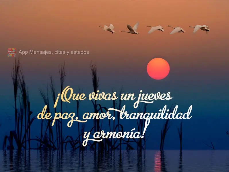 ¡Que vivas un jueves de paz, amor, tranquilidad y armonía!