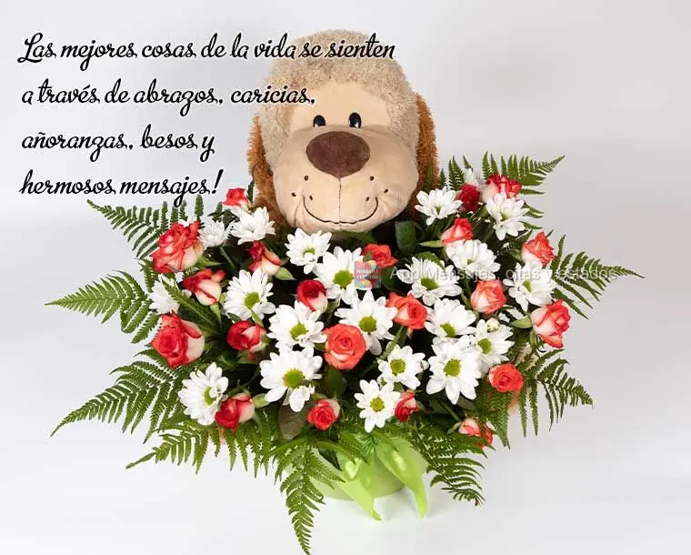 Las mejores cosas de la vida se sienten a través de abrazos, caricias, añoranzas, besos y hermosos mensajes!