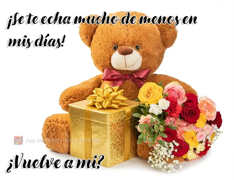 ¡Se te echa mucho de menos en mis días! ¿Vuelve a mi?