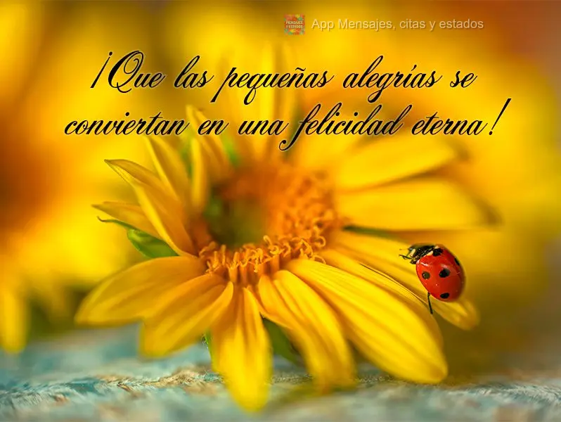 Que as pequenas alegrias se tornem uma eterna felicidade!