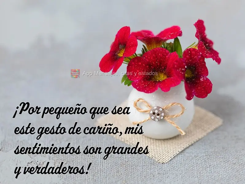 ¡Por pequeño que sea este gesto de cariño, mis sentimientos son grandes y verdaderos!