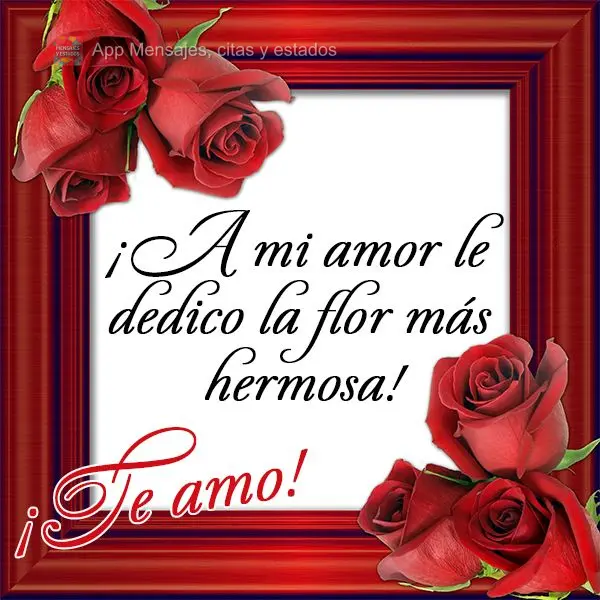 ¡A mi amor le dedico la flor más hermosa! ¡Te amo!