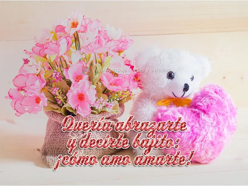 Quería abrazarte y decirte bajito: ¡cómo amo amarte!