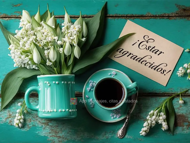 ¡Estar agradecidos!