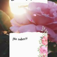 Não subestime o tempo de Deus ele sabe exatamente onde e quando te presentear com aquele bênçãos especial!  Boa tarde!