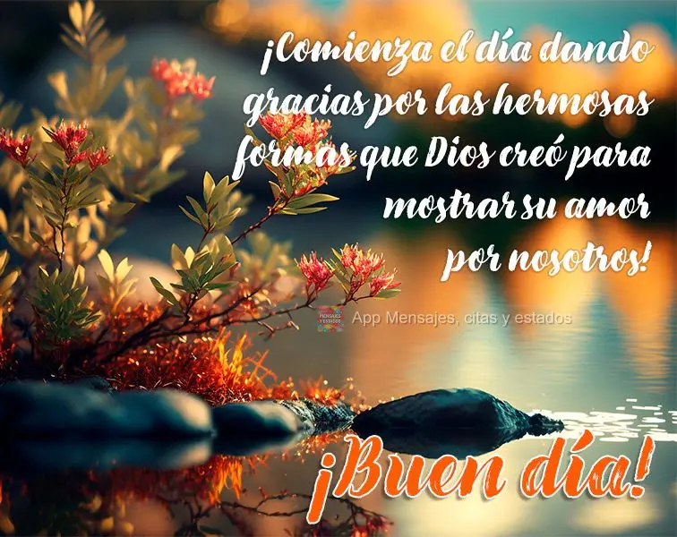 Comece o dia agradecendo pelas lindas formas que Deus criou para mostrar o seu amor por nós! Bom dia! 