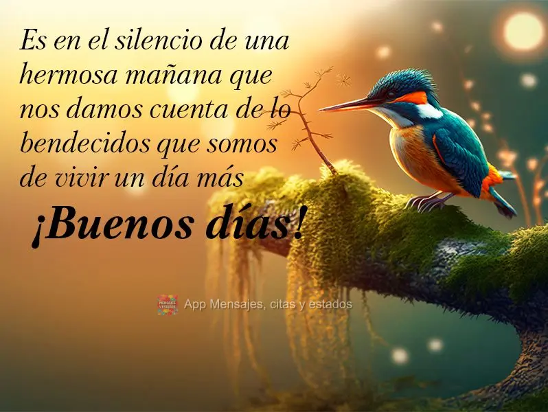 É no silêncio de uma bela manhã que percebemos como somos abençoados por viver mais um dia Bom dia!