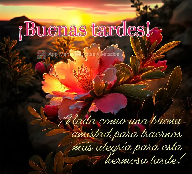 Nada que uma boa amizade, para nos trazer mais alegria para esta linda tarde! Boa tarde!