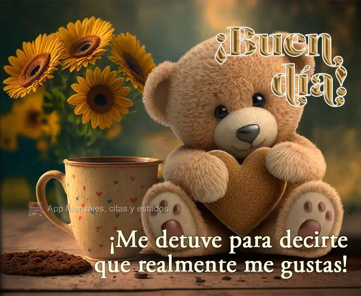 Passei aqui para dizer que gosto muito de você! Bom dia! 