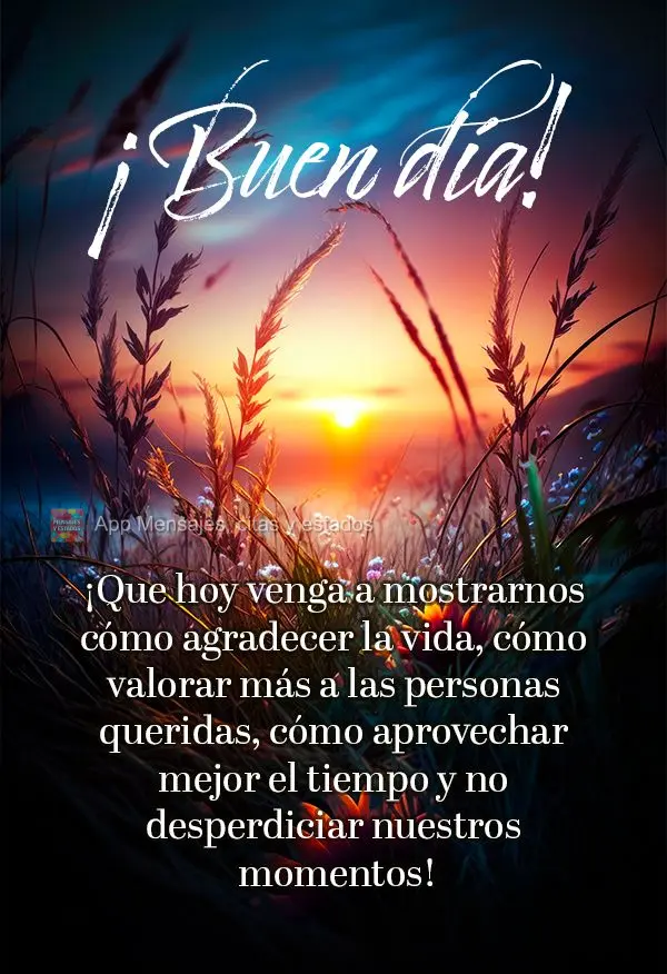 Que o dia de hoje venha para nos mostrar como ser grato pela vida, como dar mais valor as pessoas queridas, como aproveitar melhor o tempo e não desperd...