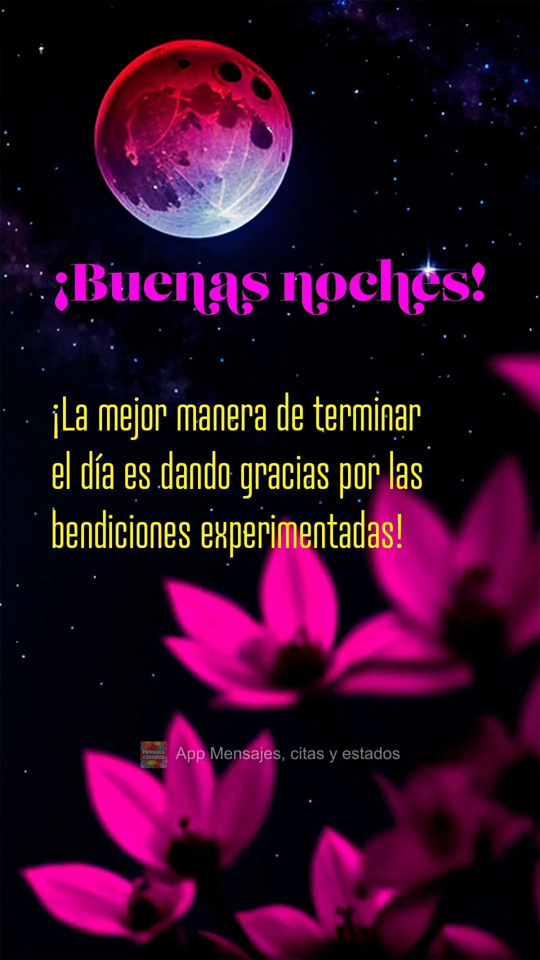 A melhor maneira de terminar o dia é agradecendo pelas bênçãos vividas! Boa noite!