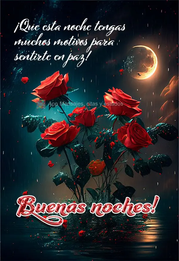 Que esta noite você possa ter muitos motivos para se sentir em paz! Boa noite!