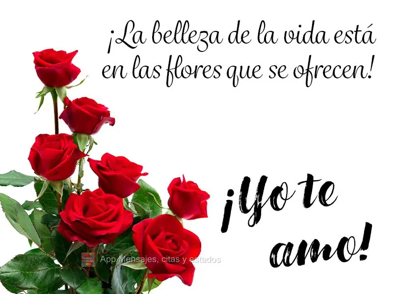 A beleza da vida está nas flores oferecidas! Eu te amo!