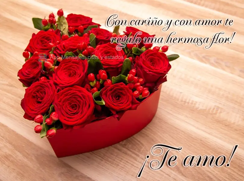 Com carinho e com amor lhe entrego uma linda flor! Amo você!