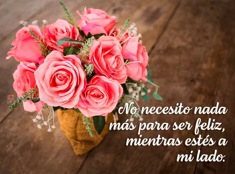 No necesito nada más para ser feliz, mientras estés a mi lado.