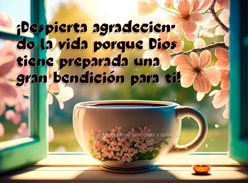 ¡Despierta agradeciendo la vida porque Dios tiene preparada una gran bendición para ti!
