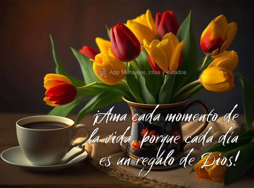 ¡Ama cada momento de la vida, porque cada día es un regalo de Dios!