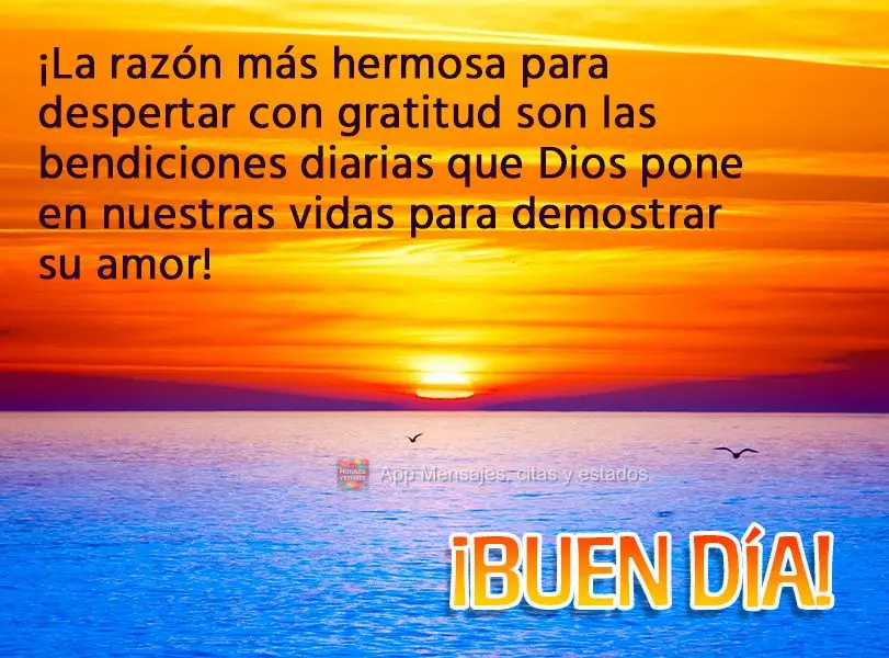 ¡La razón más hermosa para despertar con gratitud son las bendiciones diarias que Dios pone en nuestras vidas para demostrar su amor! ¡Buen día!