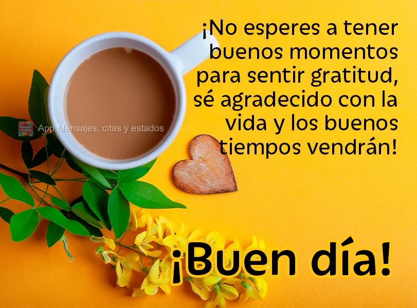 ¡No esperes a tener buenos momentos para sentir gratitud, sé agradecido con la vida y los buenos tiempos vendrán! ¡Buen día!