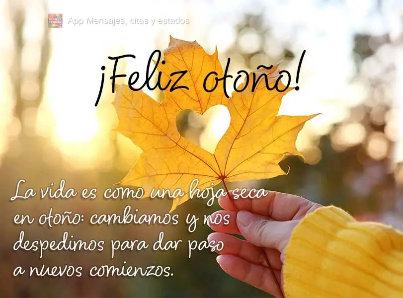 A vida é como uma folha seca no outono: mudamos e nos despedimos para abrir espaço para novos começos. Feliz Outono!