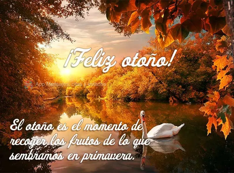 O outono é a época de recolher os frutos do que plantamos na primavera. Feliz Outono!