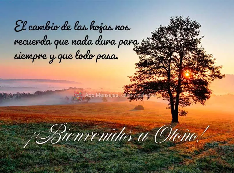 A mudança das folhas nos lembra que nada dura para sempre e que tudo passa. Bem-Vindo ao Outono!